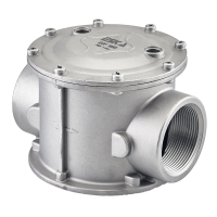 ESKA Gaz Filtresi 2"